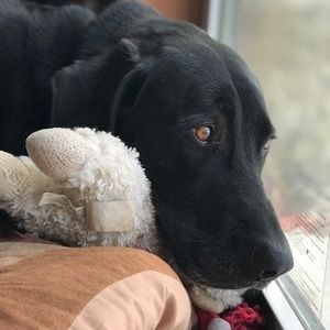 Meet your Posher, Christy